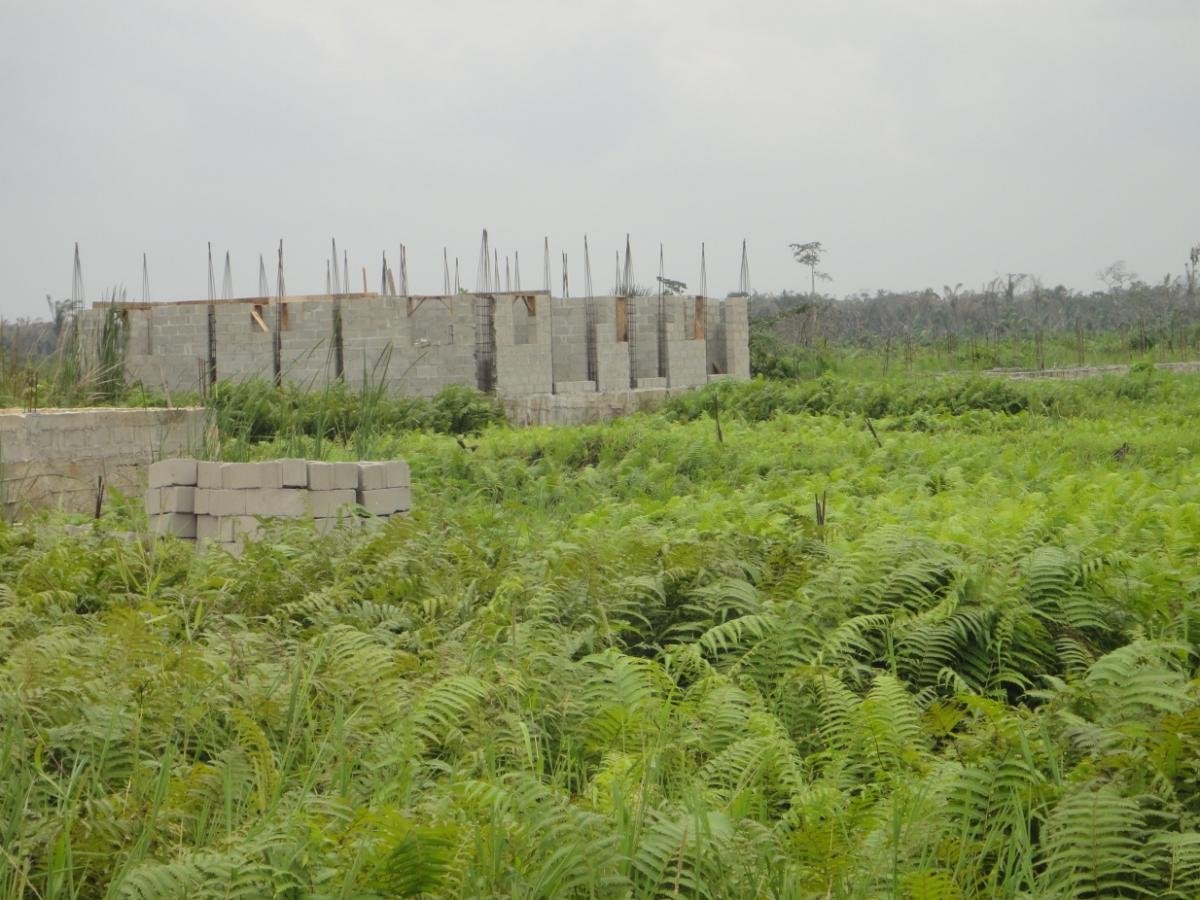 Land