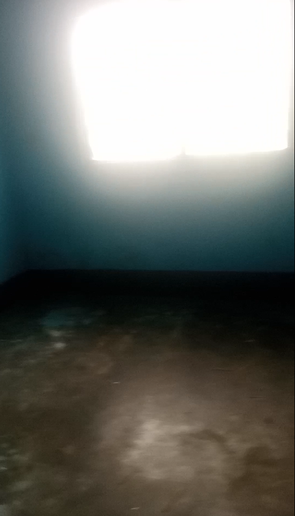 single room for rent in molyko