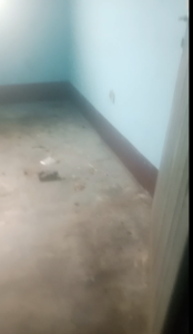 single room for rent in molyko