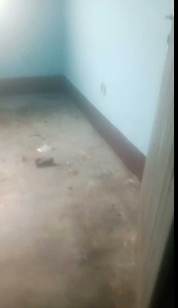 single room for rent in molyko