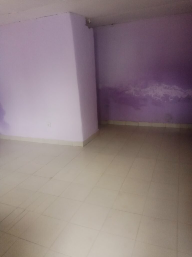 studio for rent in tarred malingo molyko buea