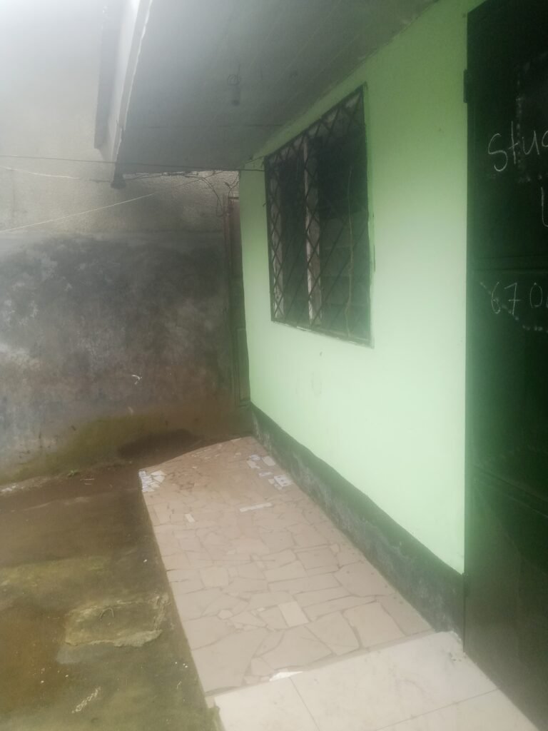 studio for rent in tarred malingo molyko buea