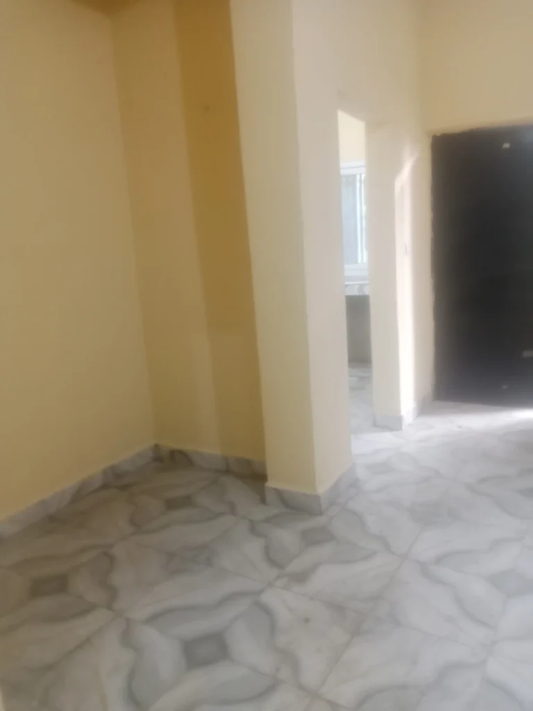 classic room toilet kitchen for rent in mayor street