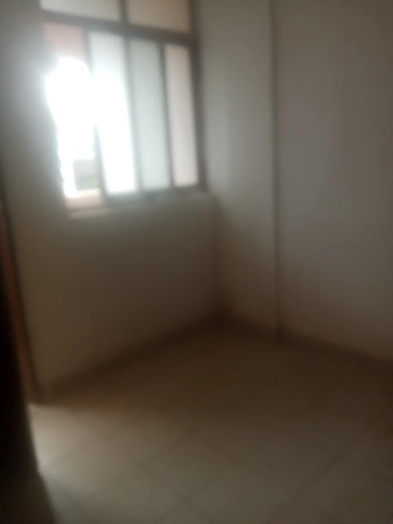 studio for rent in mayor street