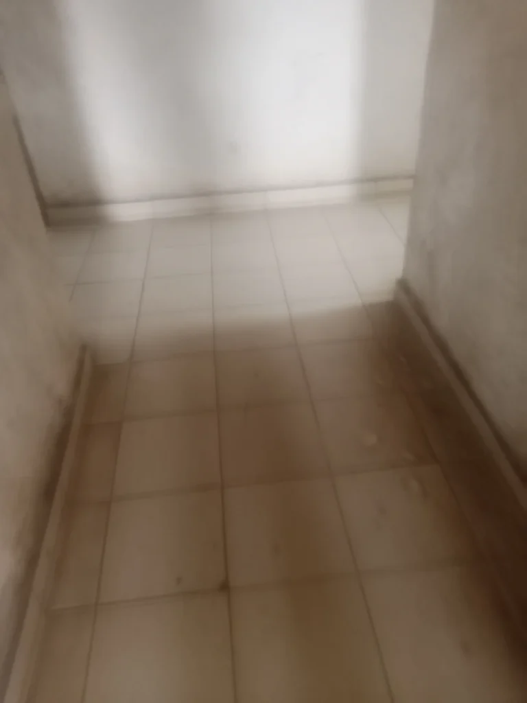 studio for rent in mayor street