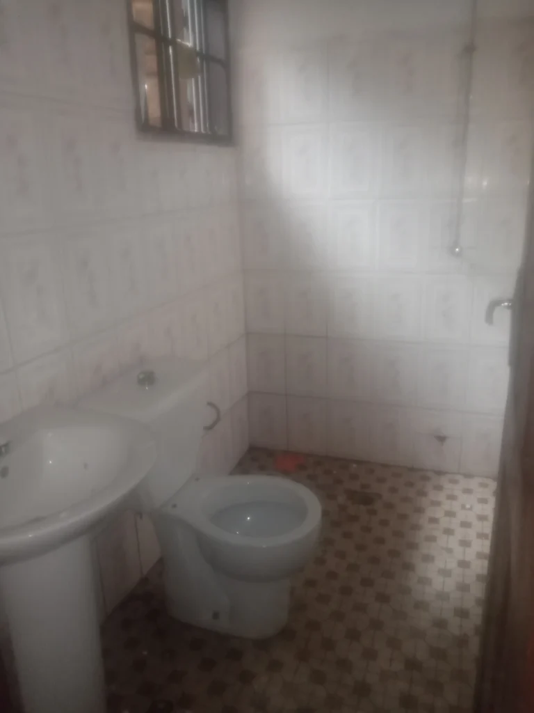 studio for rent in mayor street